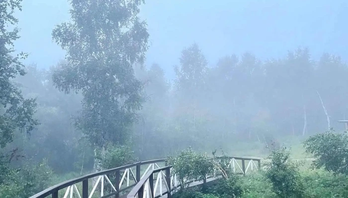 Khuskhan Ekh Khuukhdiin Amralt Gadnakh Zurguud - Төв