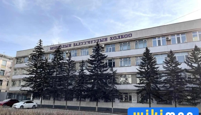 Mongolyn Zaluuchuudyn Kholboo Bugd - Улаанбаатар