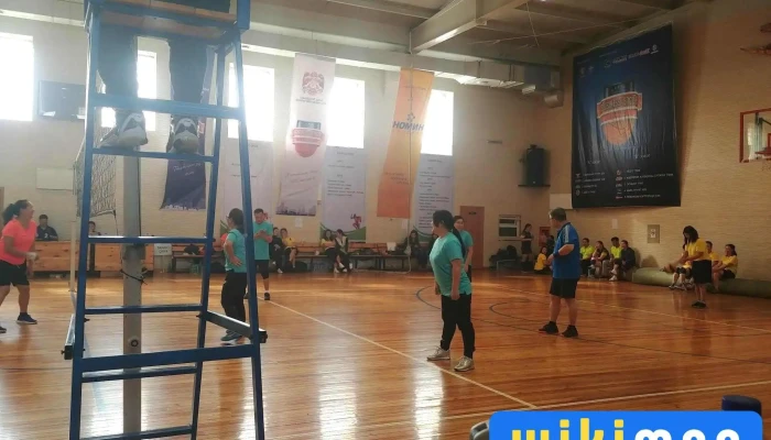 Monkhiin Useg Khkhk Uildver Dotor Tal - Улаанбаатар