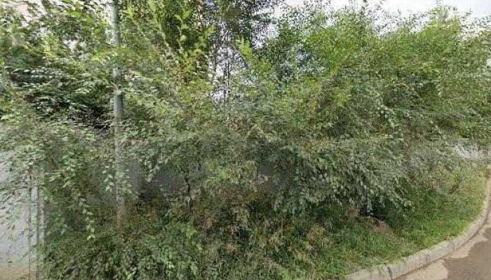 Razhiv Gandiin Neremzhit Uildverlel Urlalyn Surguul Gudamzh Kharakh Bolon 360deg - Улаанбаатар