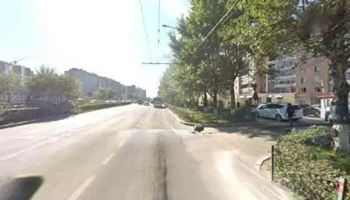 Shidet Shogol Sapporo Gudamzh Kharakh Bolon 360deg - Улаанбаатар
