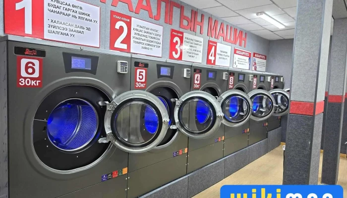 Speedking Laundry Uvurkhangai -  Principal - Арвайхээр