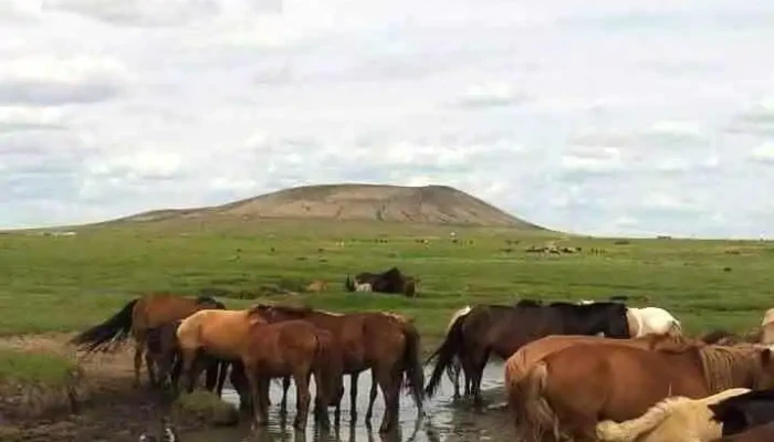 Sukhbaatar Bugd - Сүхбаатар