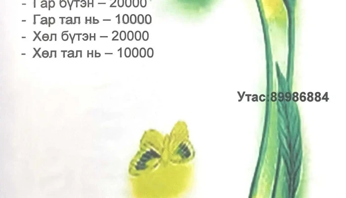Suvd Goo Saikhan Tses - Улаанбаатар