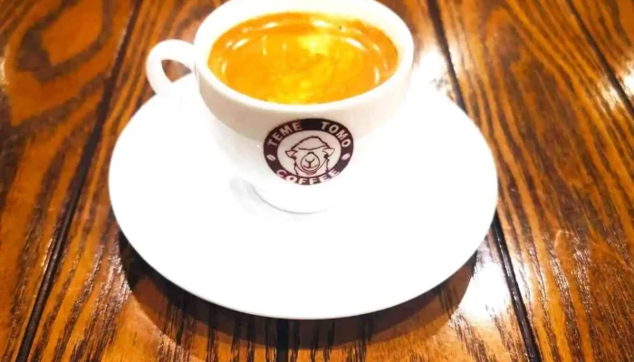 Teme Tomo coffee shop - Даланзадгад