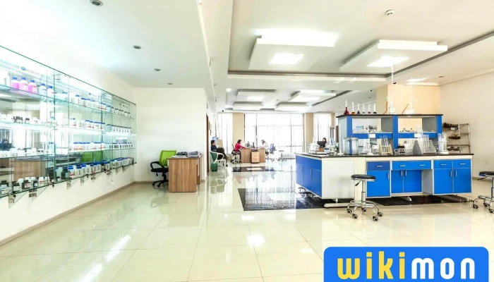 Tsetsuukh Offis Uilchilgeenii Tov Tsetsuuh Office Ezemshigchiinkh - Улаанбаатар