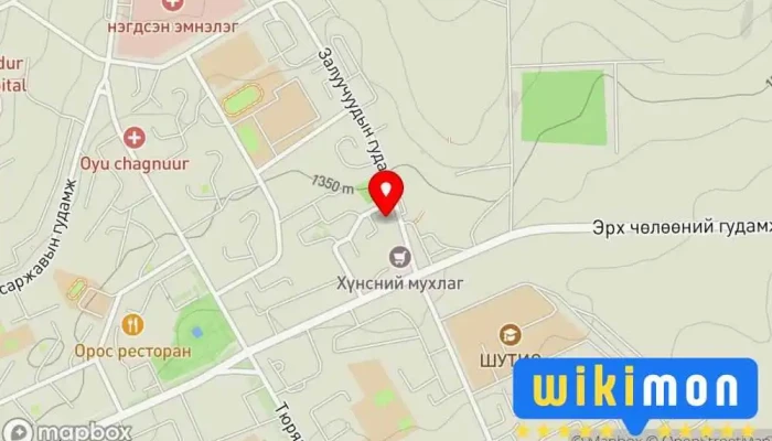 гэсэн газрын зураг ЦНБайгууламж Ашгийн бус байгууллага дээр Эрдэнэт