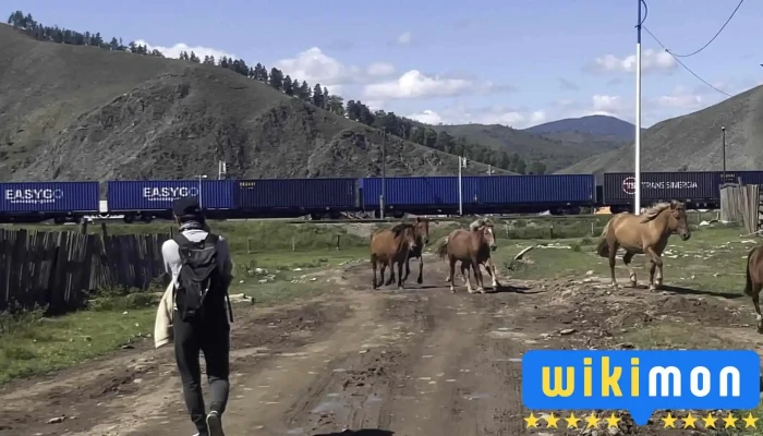 Tunkh Video - Сэлэнгэ