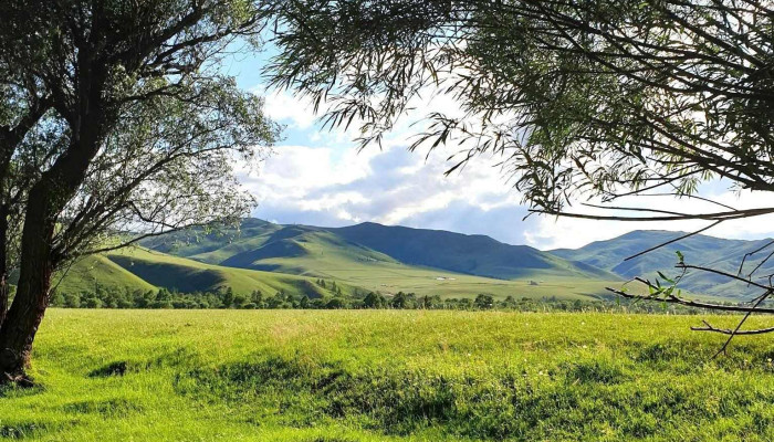 Tuul Golyn Urd Khovoo Bugd - Улаанбаатар