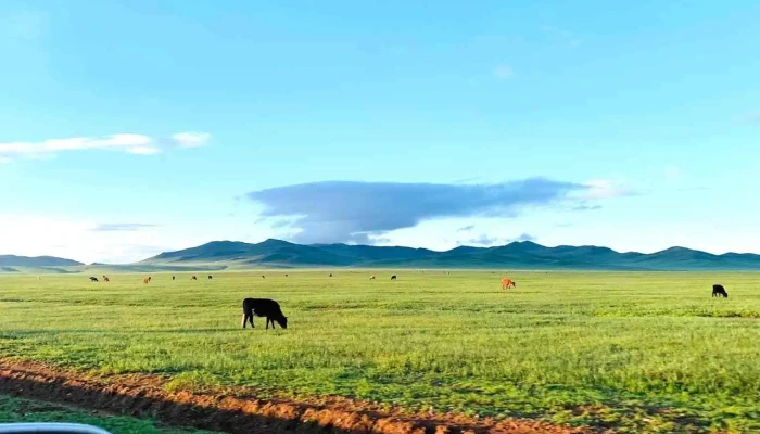 Tuv Aimag Rd -  Zochdoos - Улаанбаатар