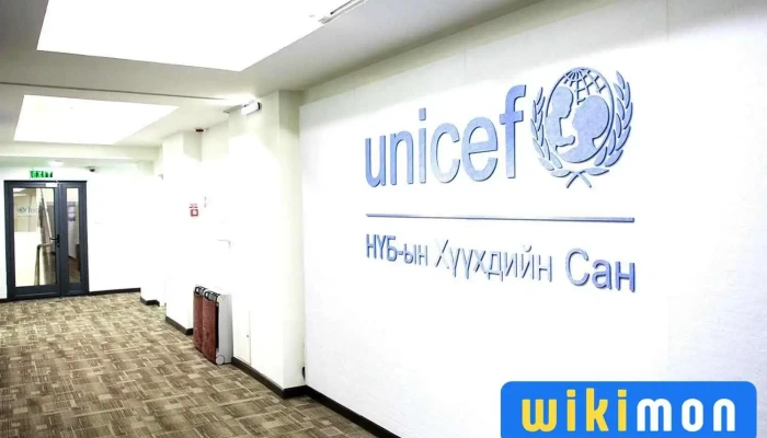 Unicef Mongolia Nub Yn Khuukhdiin San Ezemshigchiinkh - Улаанбаатар