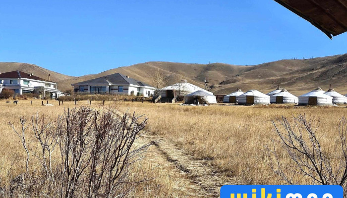 Urtuu Tolgoi Camp -  Ezemshigchiinkh - Эрдэнэ