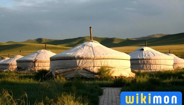 Way To Mongolia -  Bugd - Өлгий