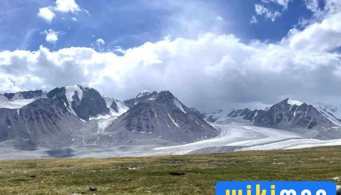 Way To Mongolia -  Ezemshigchiinkh - Өлгий