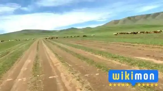 Way To Mongolia -  Video - Өлгий