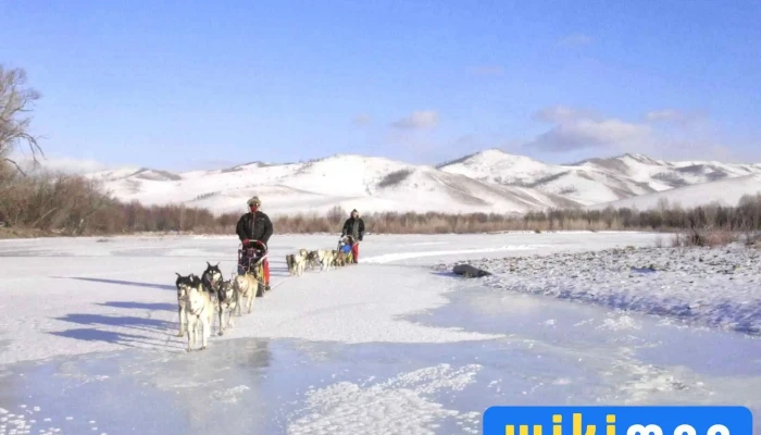 Wind Of Mongolia -  Ezemshigchiinkh - Улаанбаатар