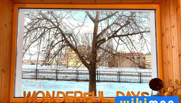 Wonderful Days -  Ezemshigchiinkh - Зуунмод