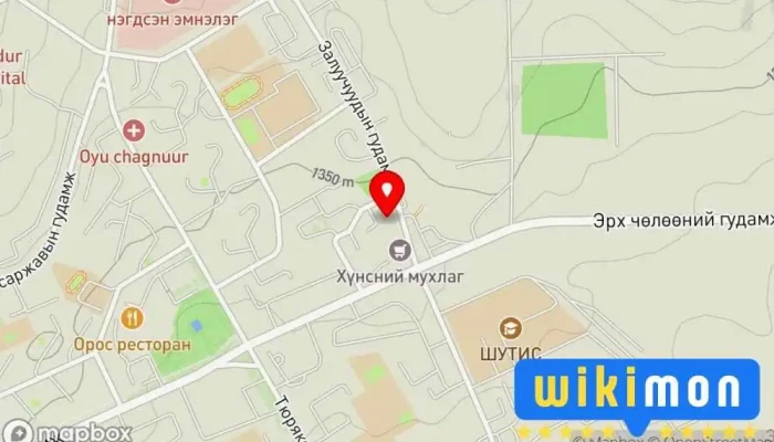 гэсэн газрын зураг Захиргааны 3-р байр Засгийн газрын байшин дээр Эрдэнэт
