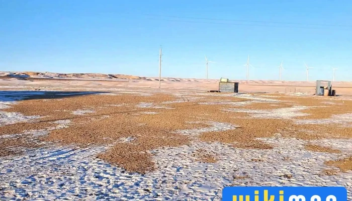 Авто тээврийн үндэсний төв Замын-Үүд салбар - Замын-Үүд