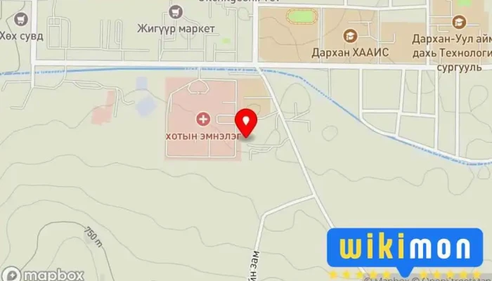 Анхилуун хивс цэвэрлэгээ - Дархан