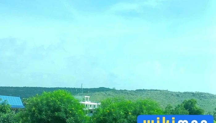 Баянхангай Соёлын төв - Баянхангай