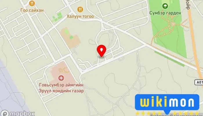 Говьсүмбэр аймгийн нийгмийн даатгалын хэлтэс - Чойр