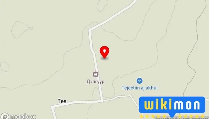 Дууяагийн гэр - Тэс
