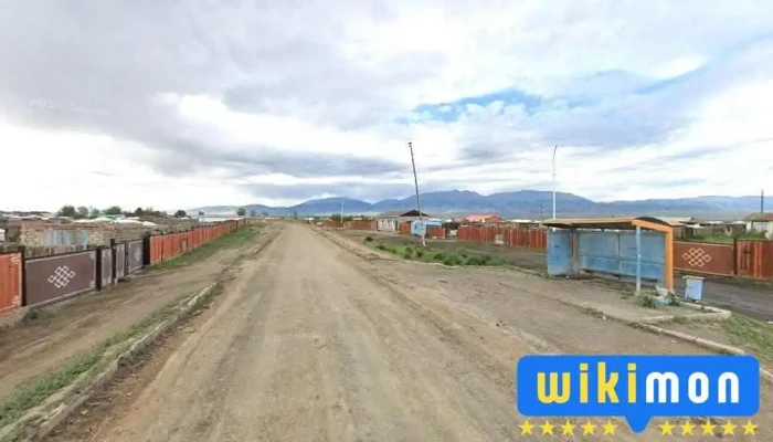 Дэлгэрэх дэлгүүр увс - Улаангом