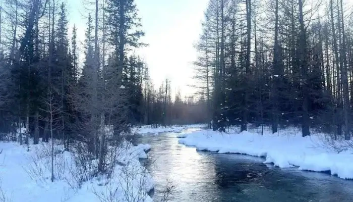 Жаргант голын эрэг - Зөөлөн