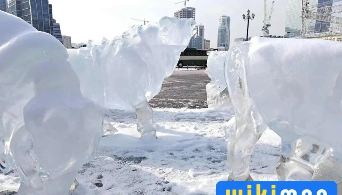 Зогсоол - Улаанбаатар