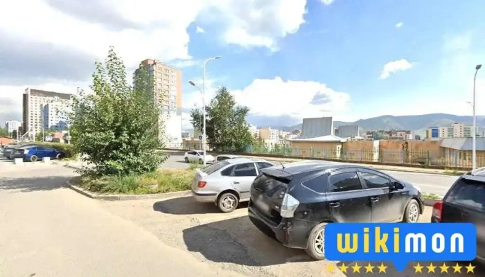Их нурууд угаалга - Улаанбаатар