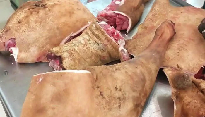 Түмэн агт махны дэлгүүр - Дархан