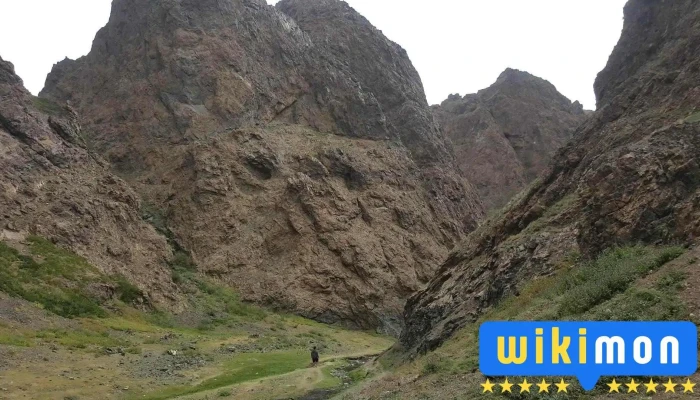 Өмнөговь аймгийн Даланзадгад сумын МСҮТөв - Даланзадгад